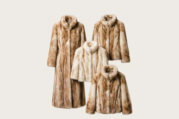 保定市涞水回收皮草衣服